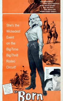 Poster de La chica del rodeo