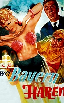 Poster de Zwei Bayern im Harem