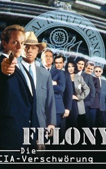 Poster de Felony