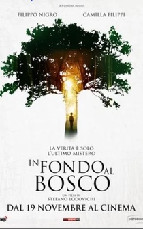 Poster de In fondo al bosco