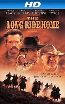Poster de El largo camino a casa
