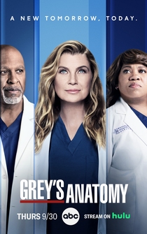 Poster de Anatomía según Grey