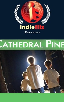 Poster de Cathedral Pines