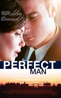 Poster de A Perfect Man