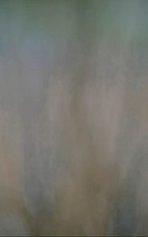 Poster de Man on the Train