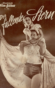 Poster de Der fallende Stern