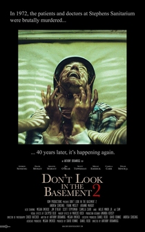 Poster de Don't Look in the Basement 2