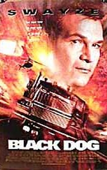 Poster de Alto riesgo