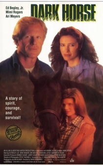 Poster de Caballero negro