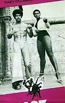 Poster de Cinturón negro