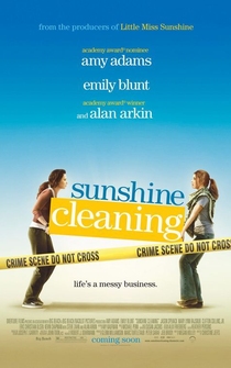 Poster de Negocios Brillantes