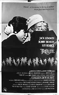 Poster de Todo menos padre