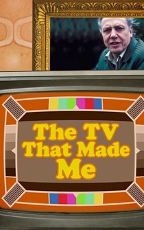 Poster The TV That Made Me