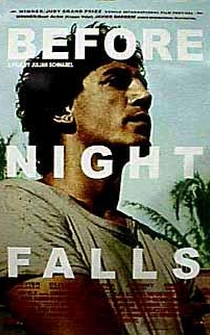 Poster de Antes que anochezca