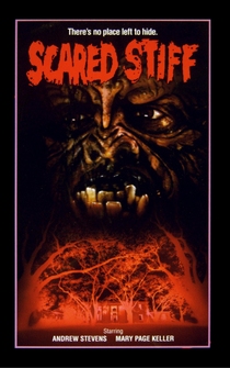 Poster de Scared Stiff